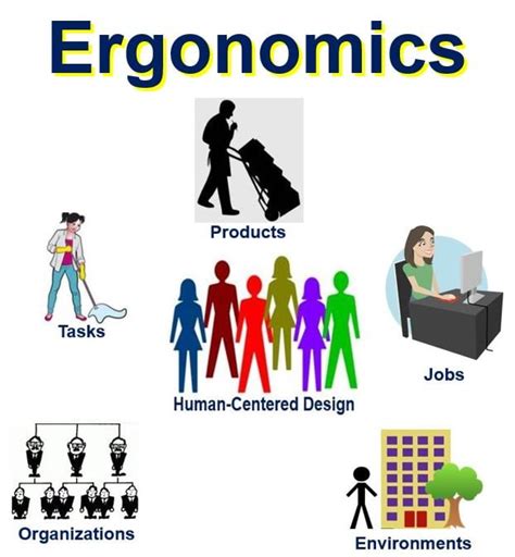 elergonomista|Ergonomist Definition & Meaning .